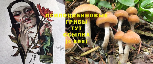 прущая мука Горно-Алтайск