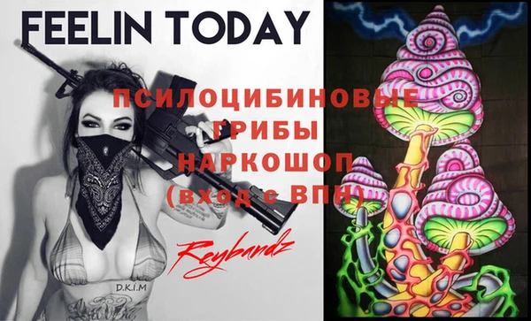 прущая мука Горно-Алтайск
