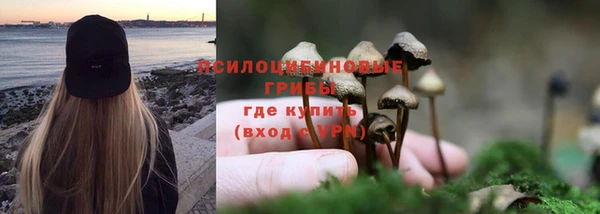 бошки Горнозаводск