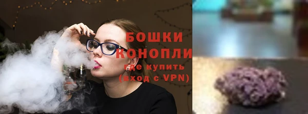 бошки Горнозаводск