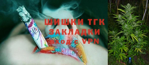 бошки Горнозаводск