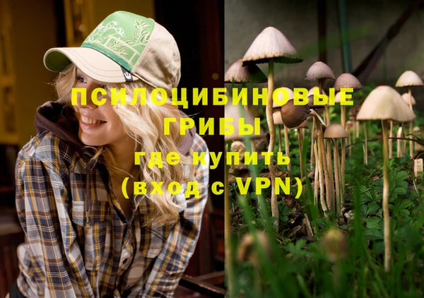прущая мука Горно-Алтайск