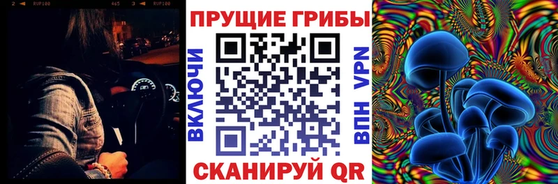 Купить где Петров Вал Галлюциногенные грибы Cubensis